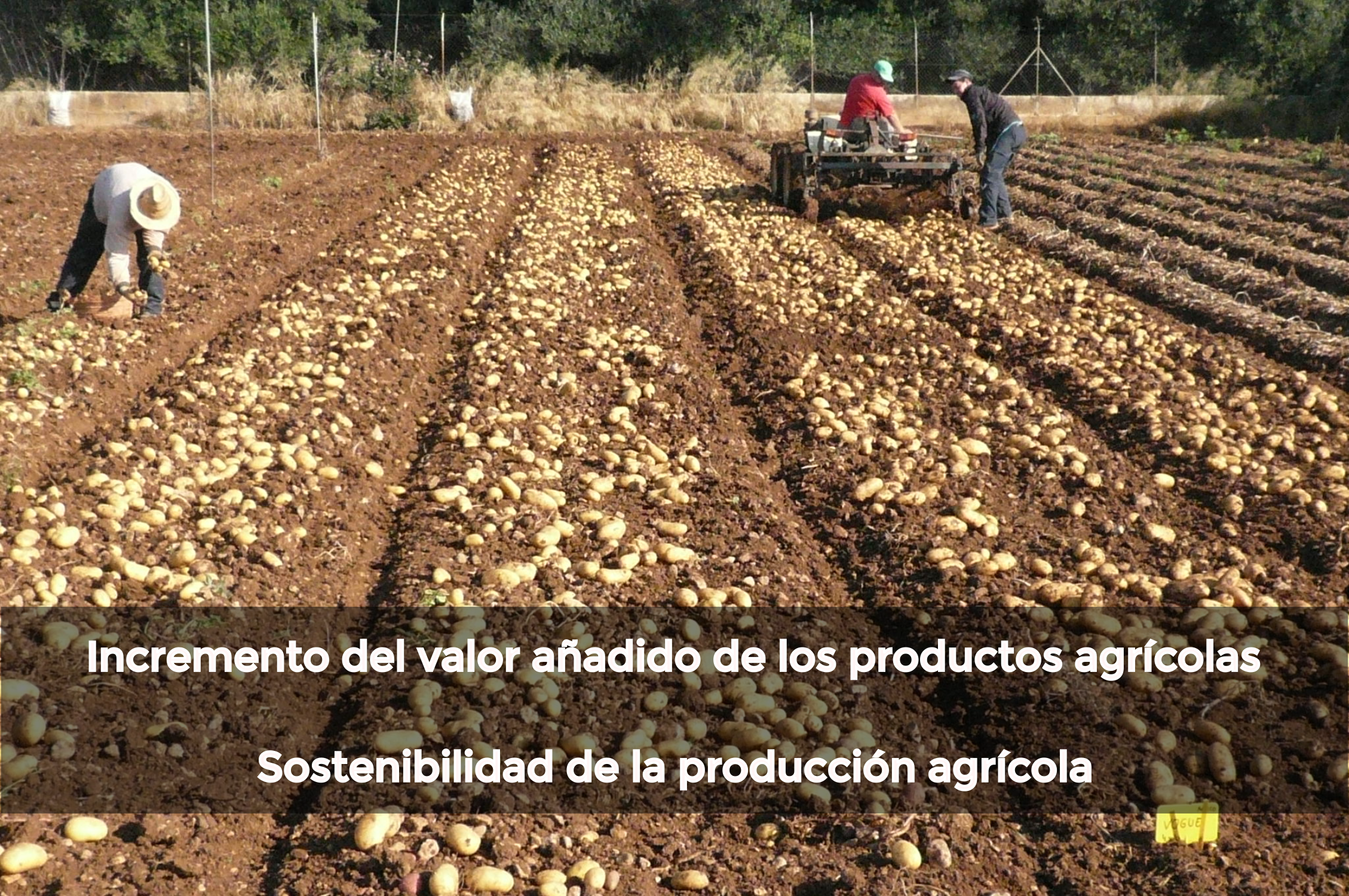1agricultor
