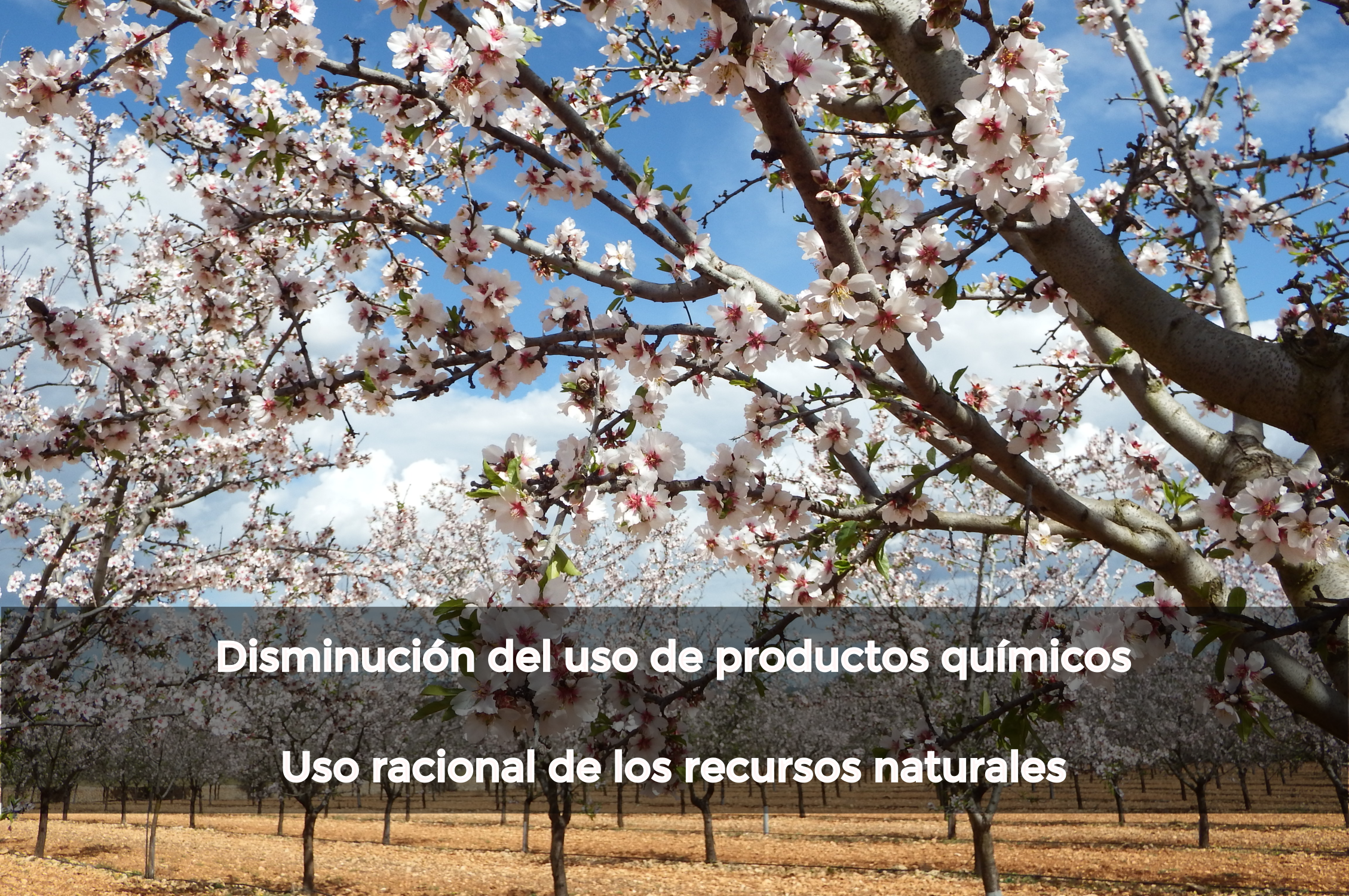 2medioamb